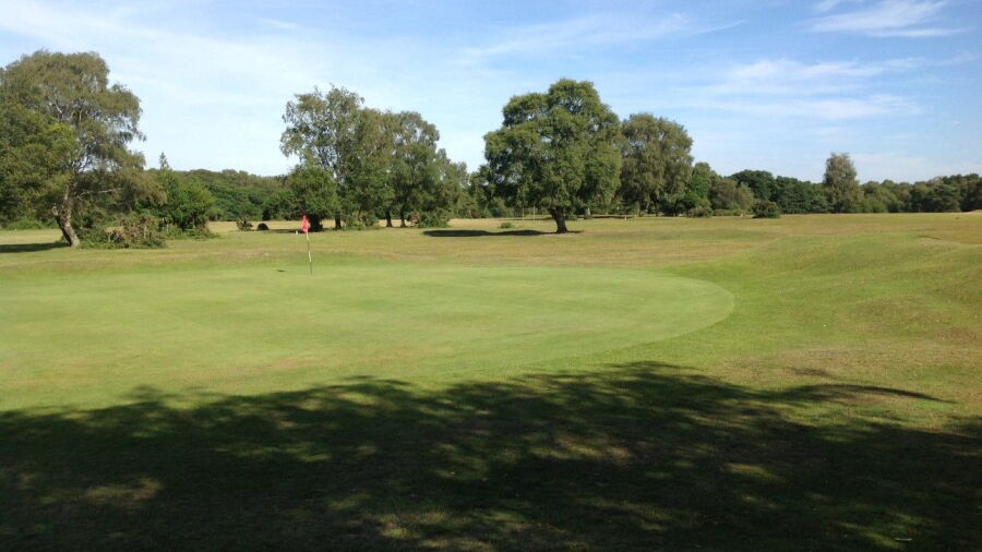 12th green at New Forest