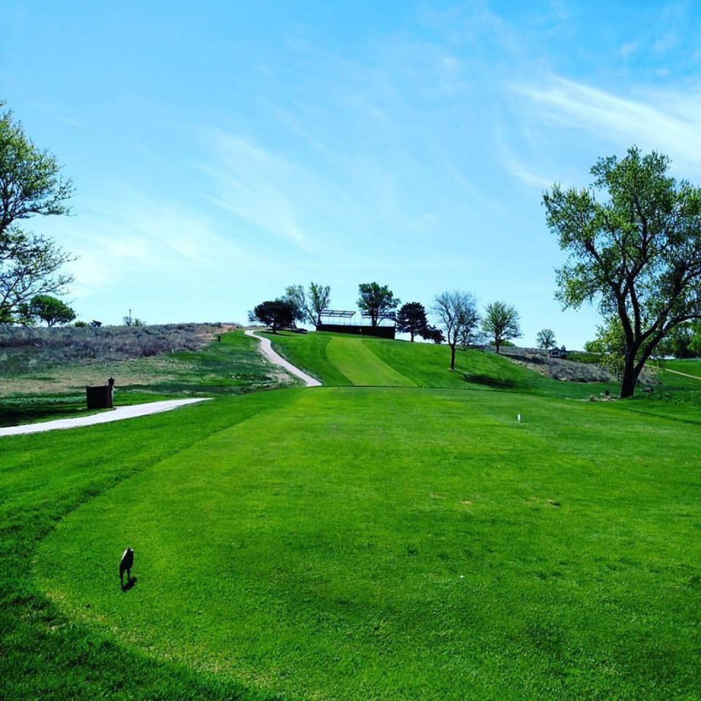 167 yrd elevated green... 17th (Photo submitted by sorenj on 04/29/2017)