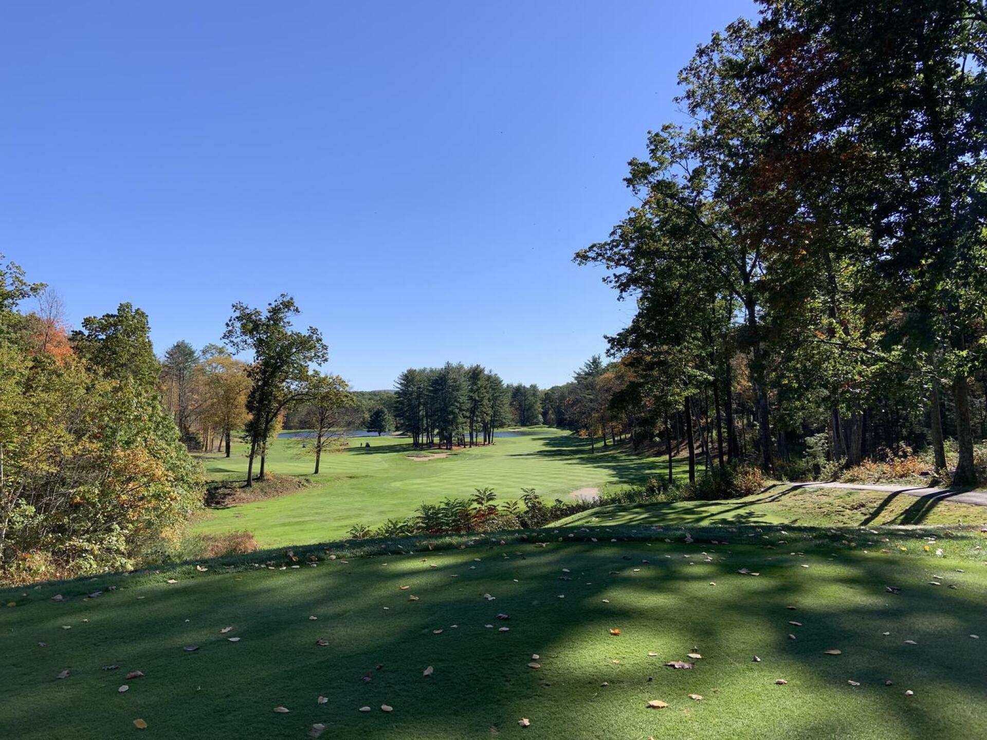 (Photo submitted by u314162287518 on 10/20/2021)