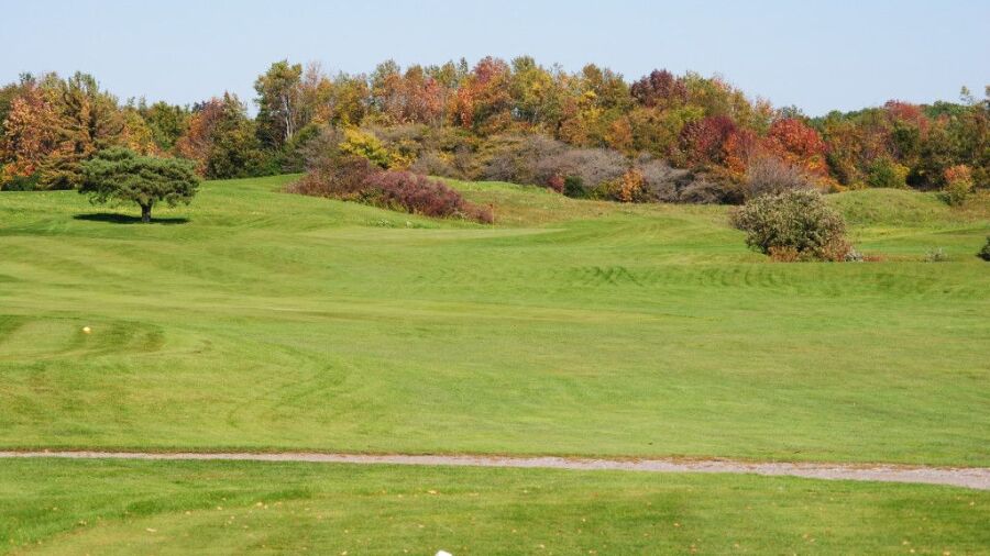 Oak Gables GC - Pine: #1