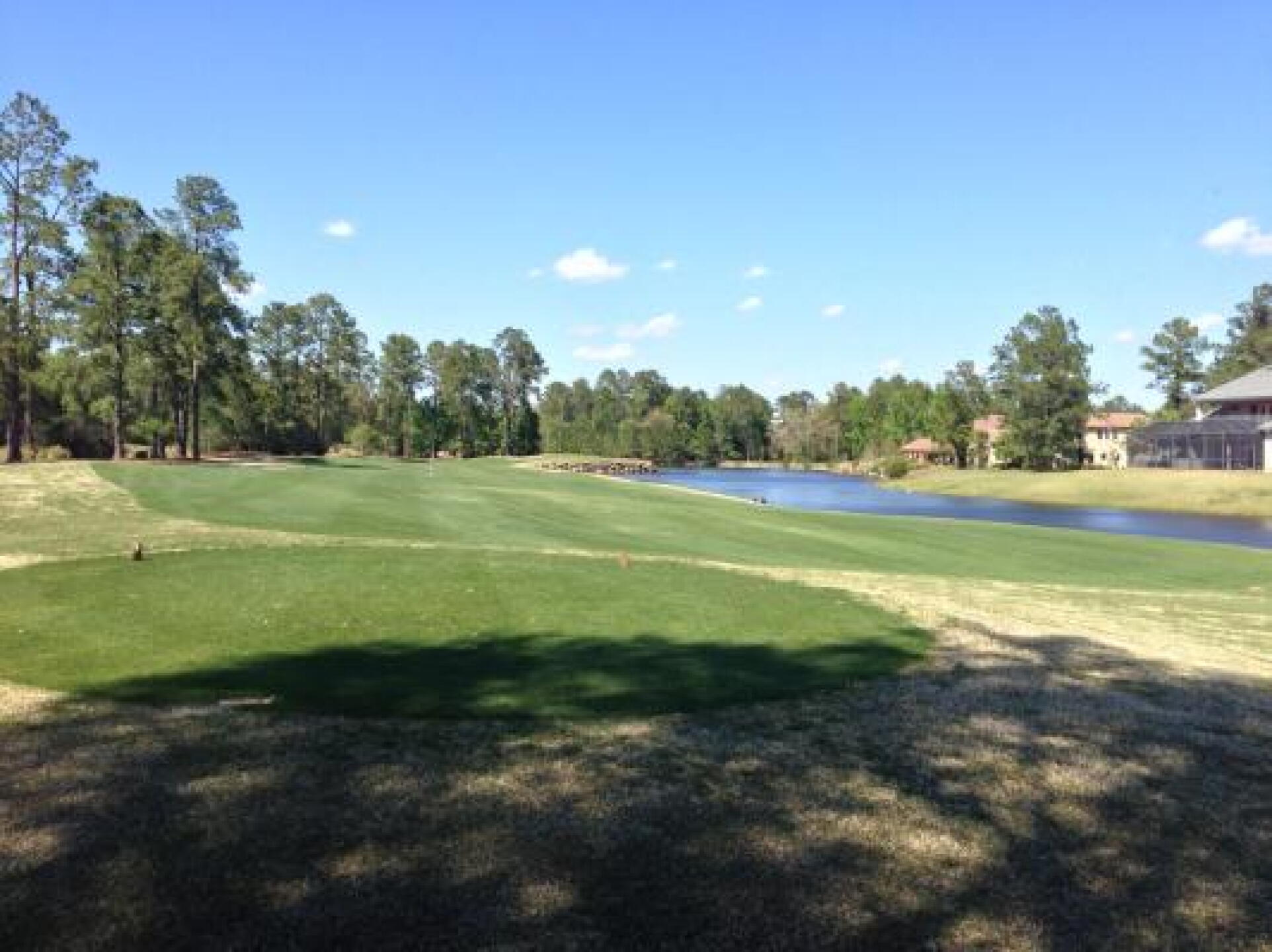 #14 (Photo submitted by u000007030060 on 04/08/2013)