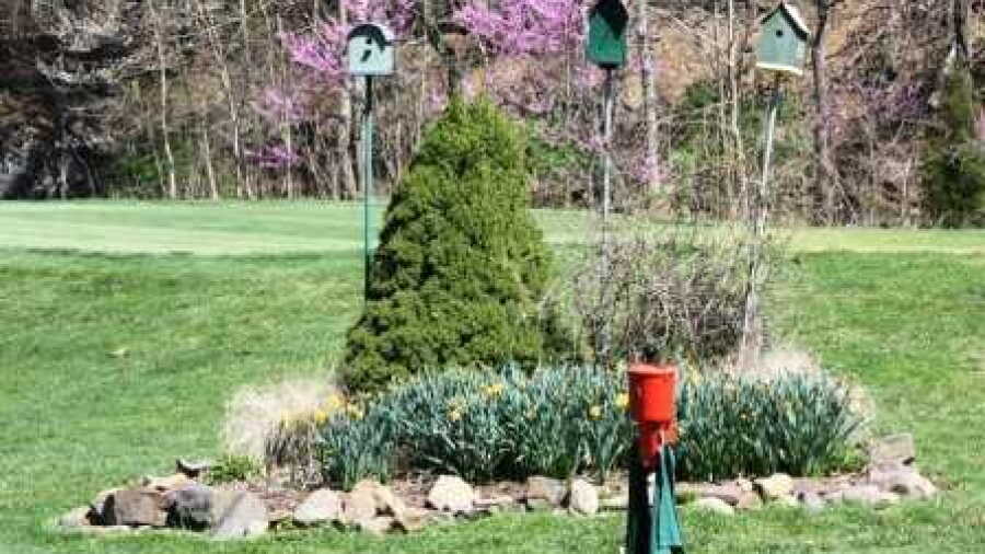 Brunswick CC