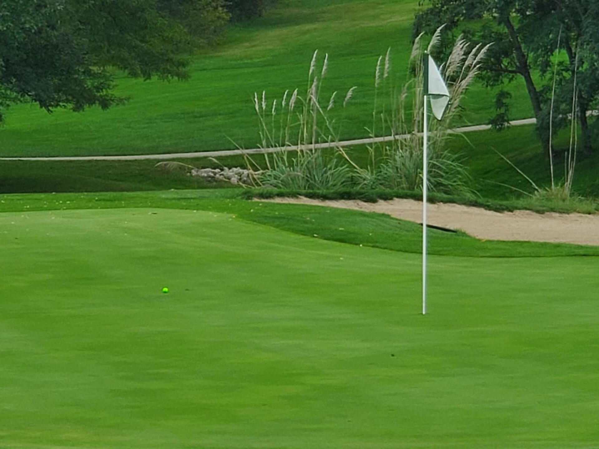 Par 3's are fun when you get this close off the tee! (Photo submitted by u493946899 on 10/07/2019)