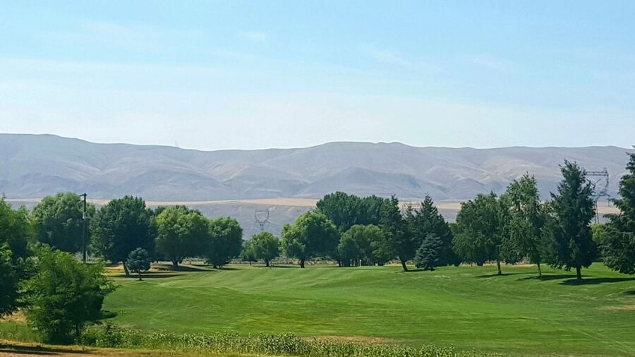 Royal City GC: #1