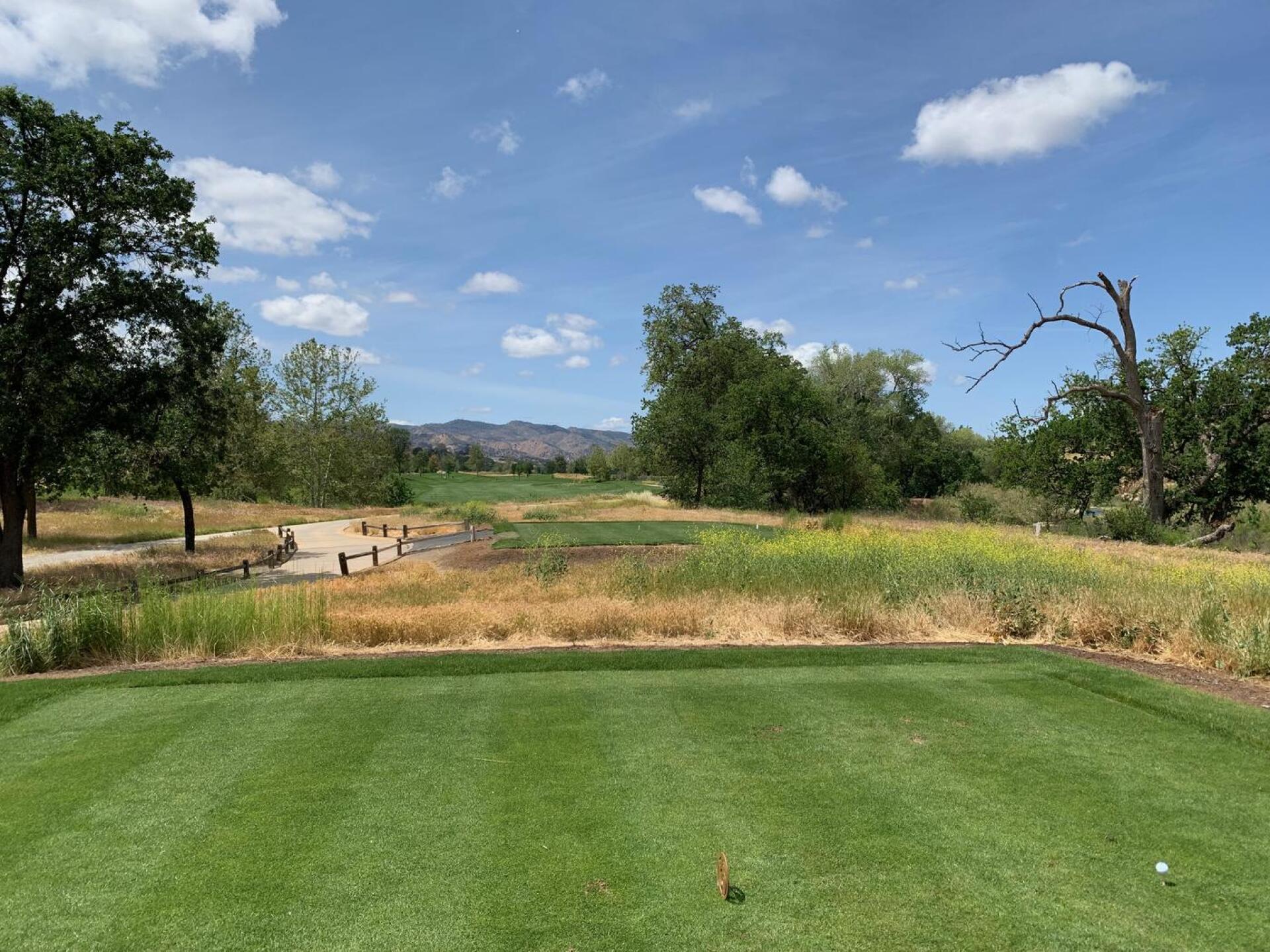 The 2nd tee shot (Photo submitted by baywes on 05/02/2022)