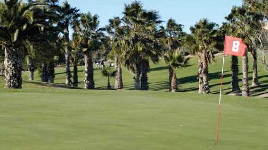 Real Club de Golf Campoamor: #8