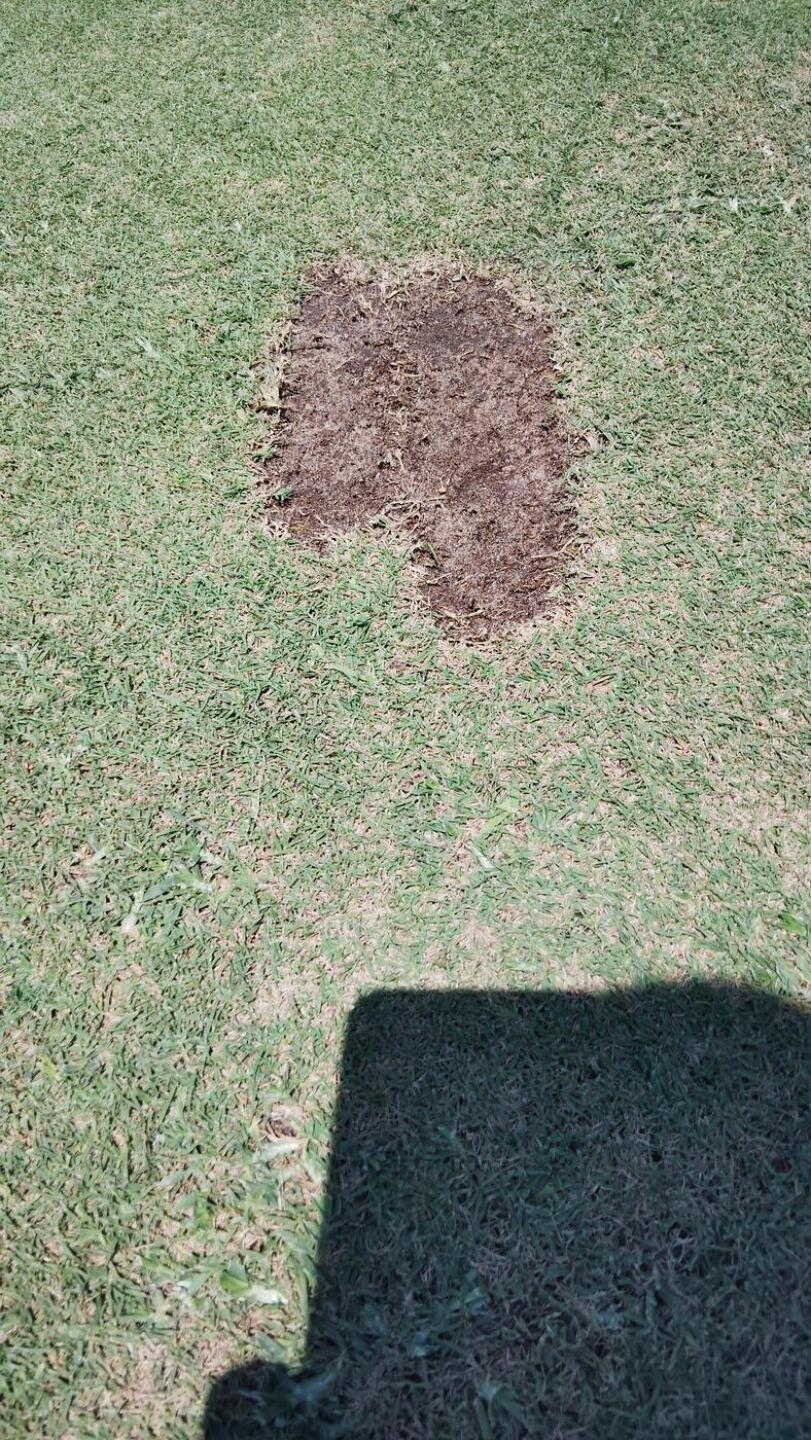 (Photo submitted by YtZKOhWVWfBNV62HAgPB on 08/10/2025)