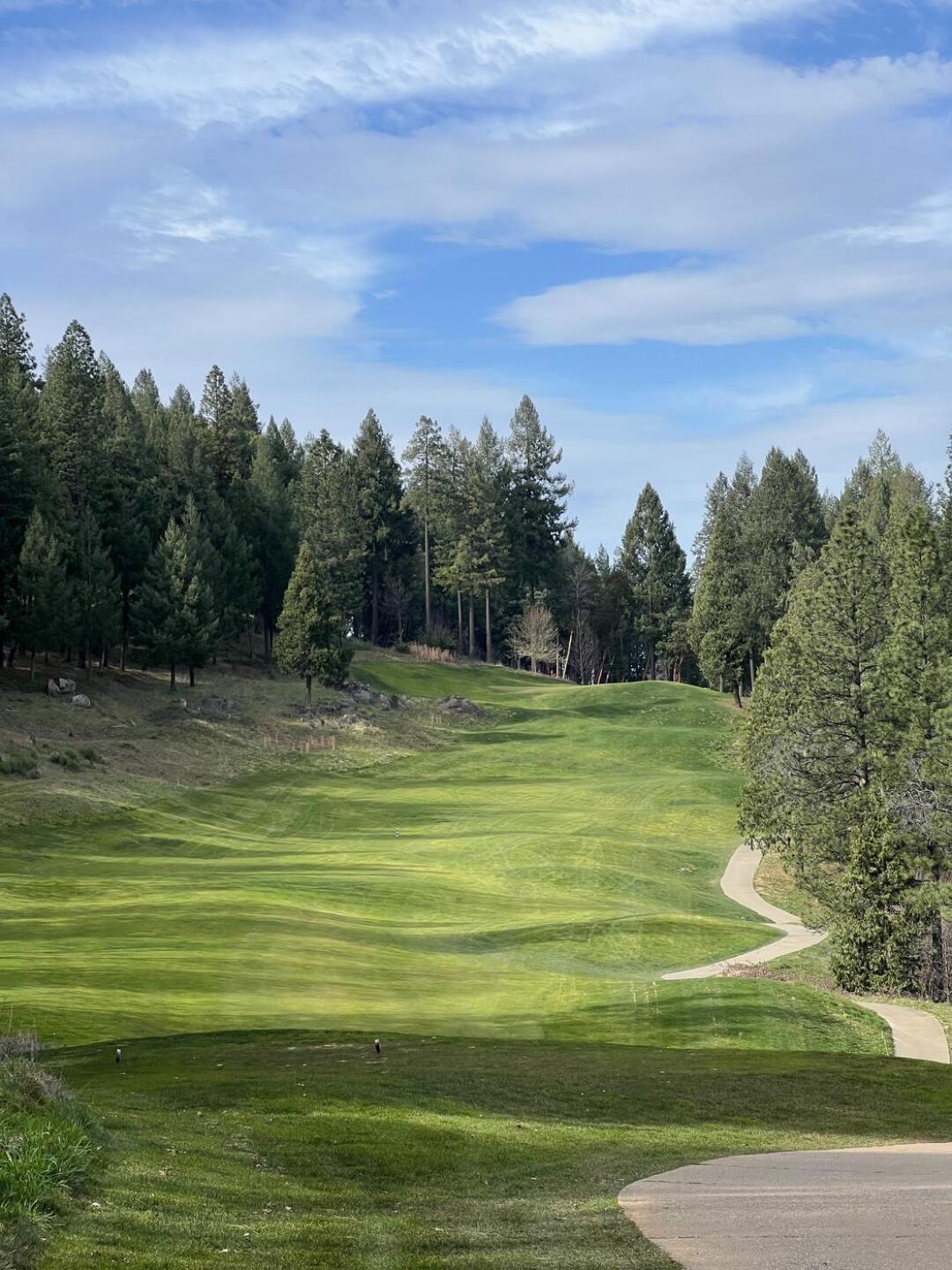 (Photo submitted by HeavySeve on 02/11/2026)