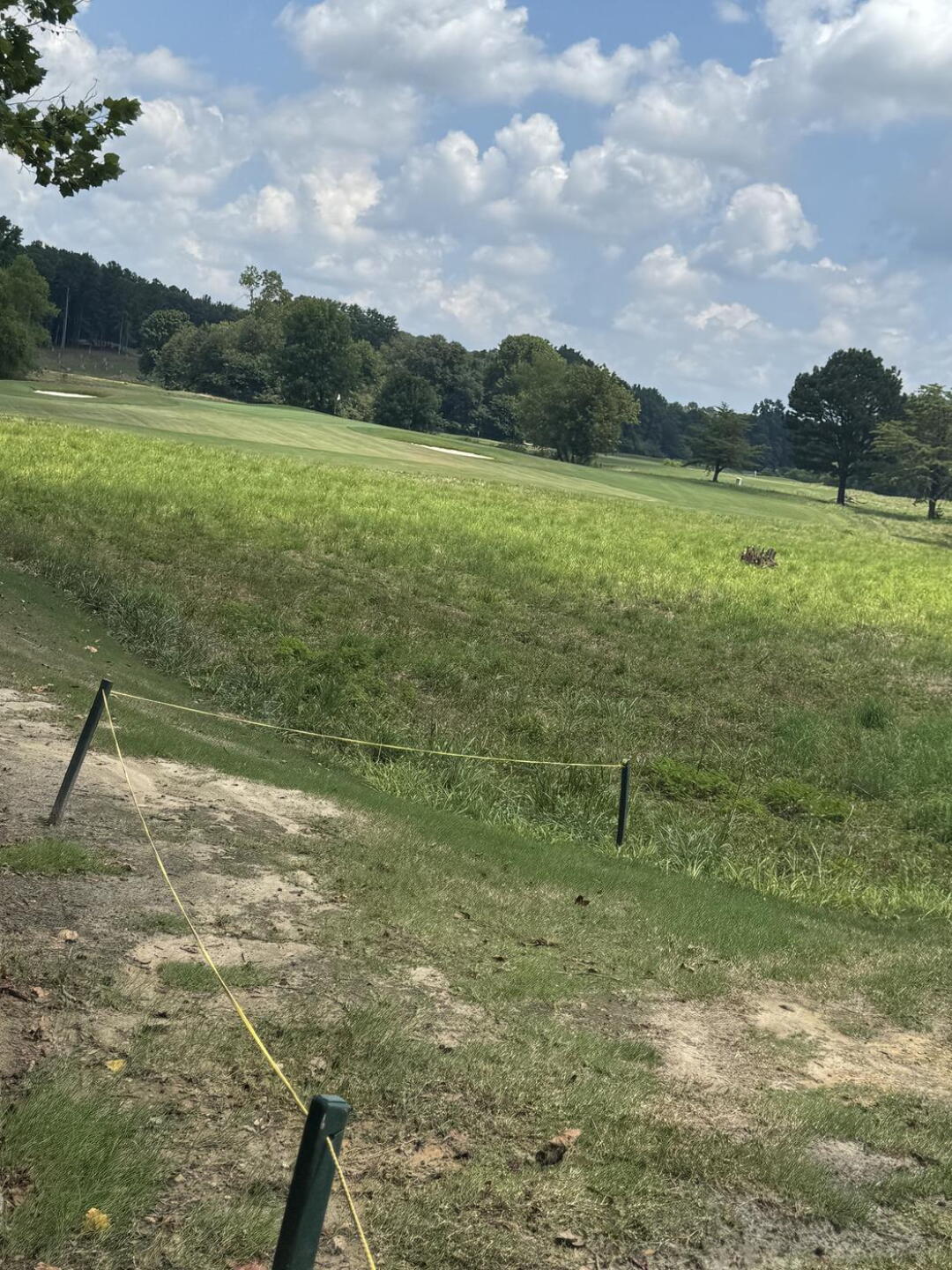 (Photo submitted by NewbieGolfGal on 08/22/2025)
