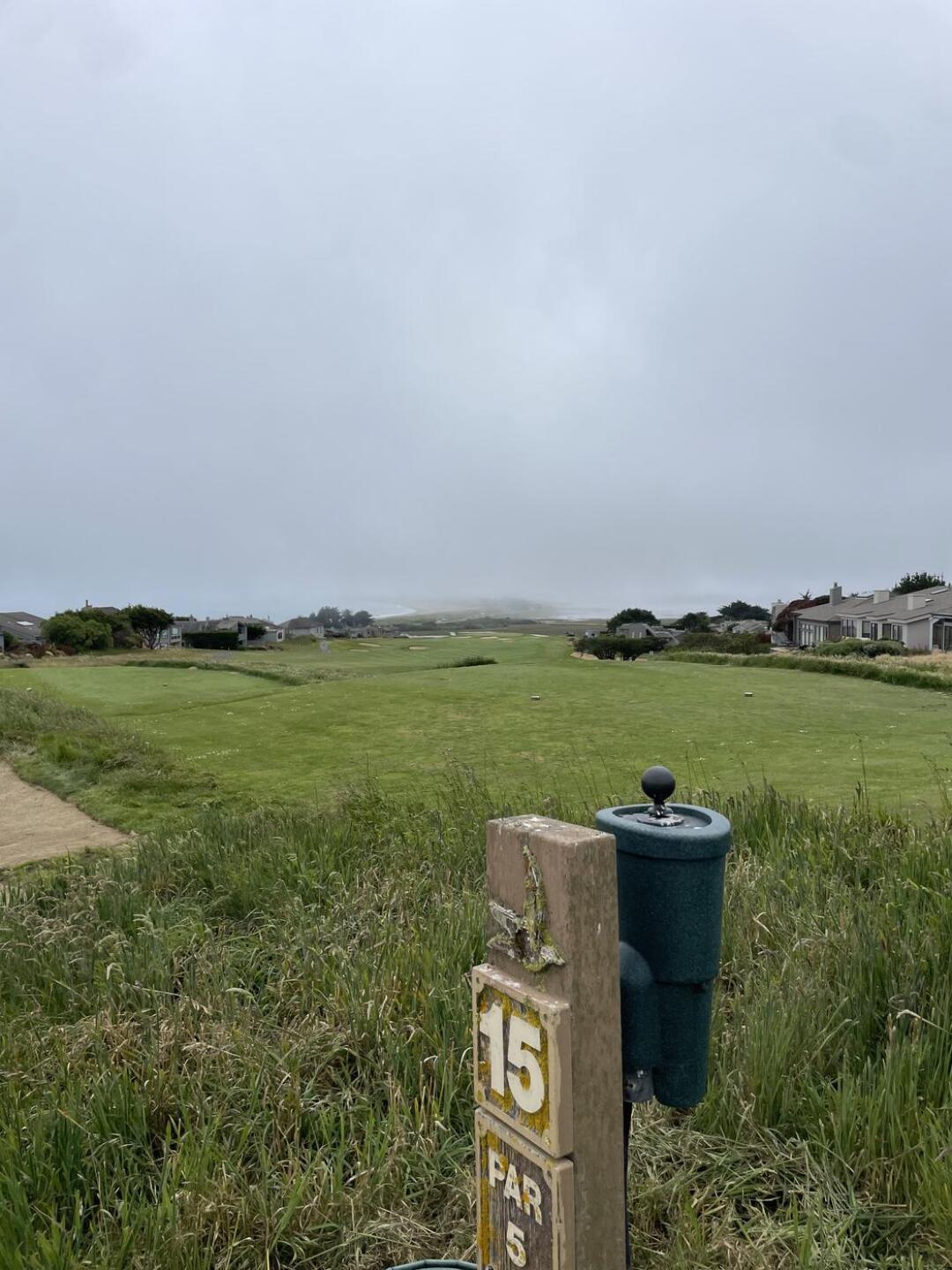 (Photo submitted by jbjking on 06/04/2024)