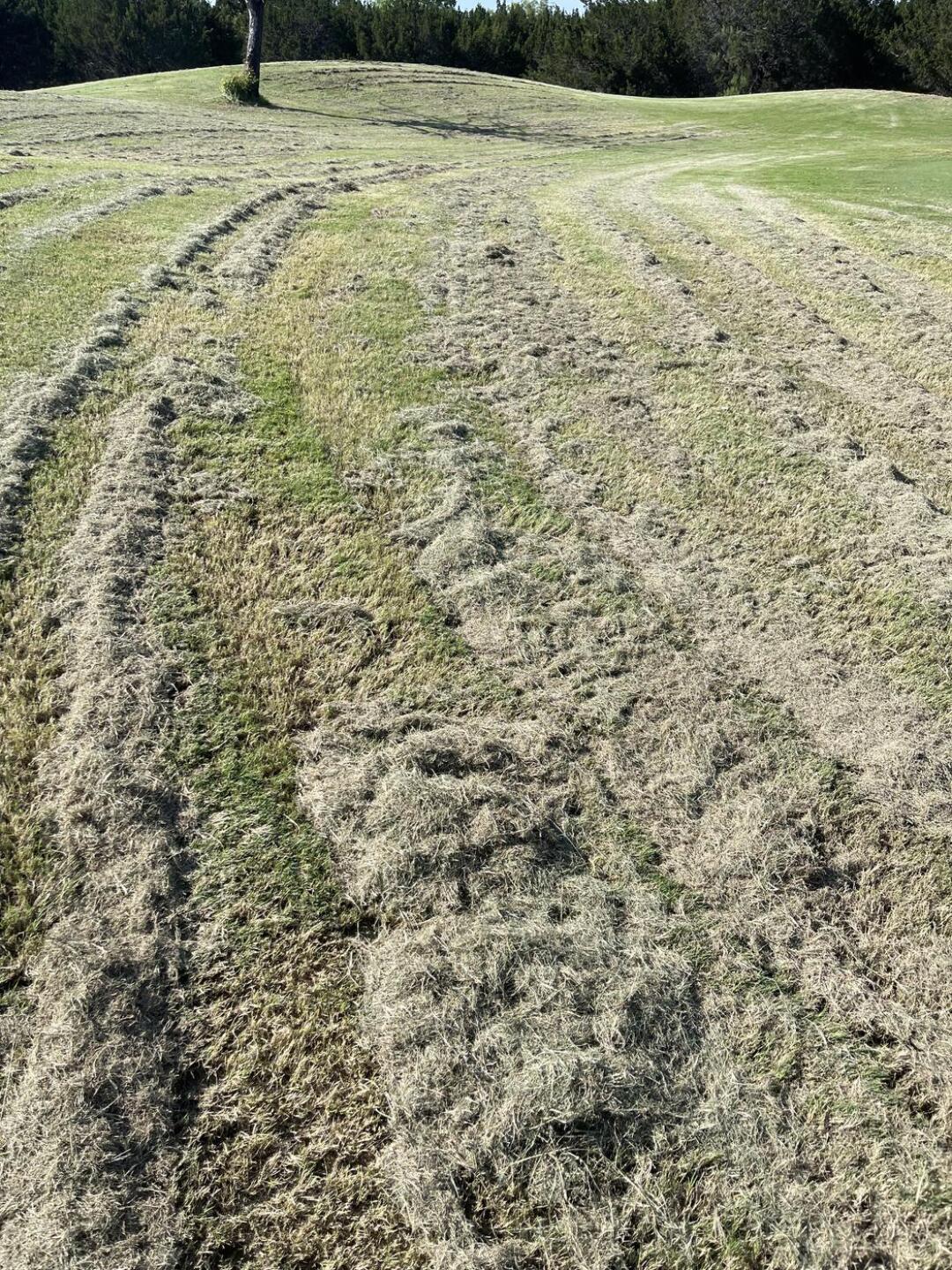 (Photo submitted by KdWJFabyZFmGsxhhrwaj on 07/03/2024)