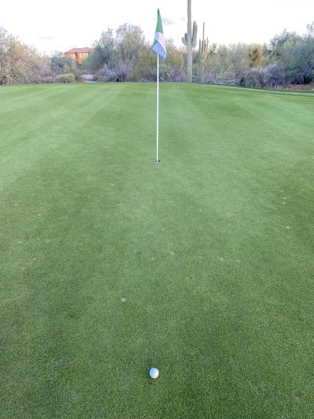 (Photo submitted by u314162495238 on 04/13/2023)