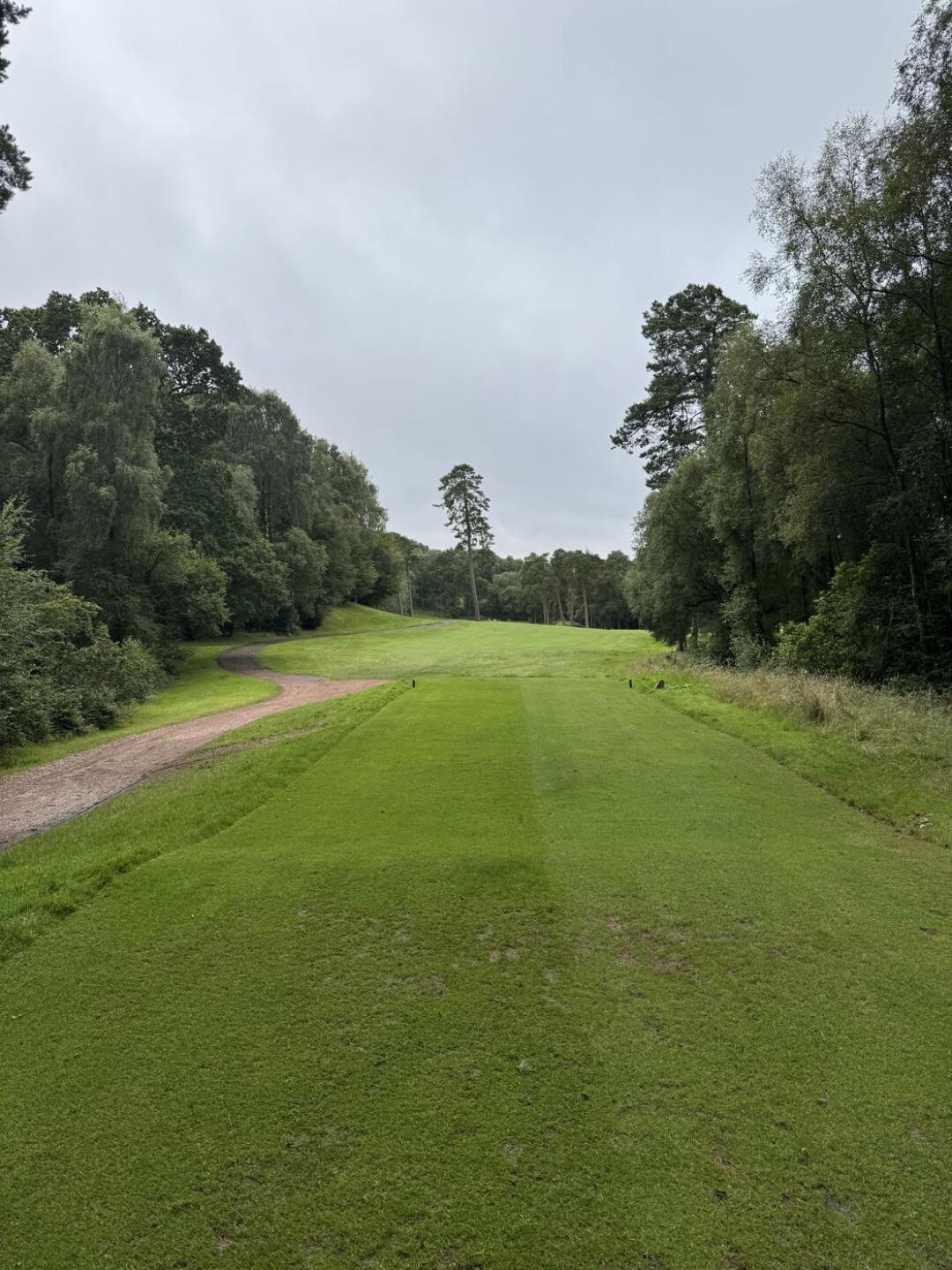 (Photo submitted by Bellshill1 on 08/05/2026)