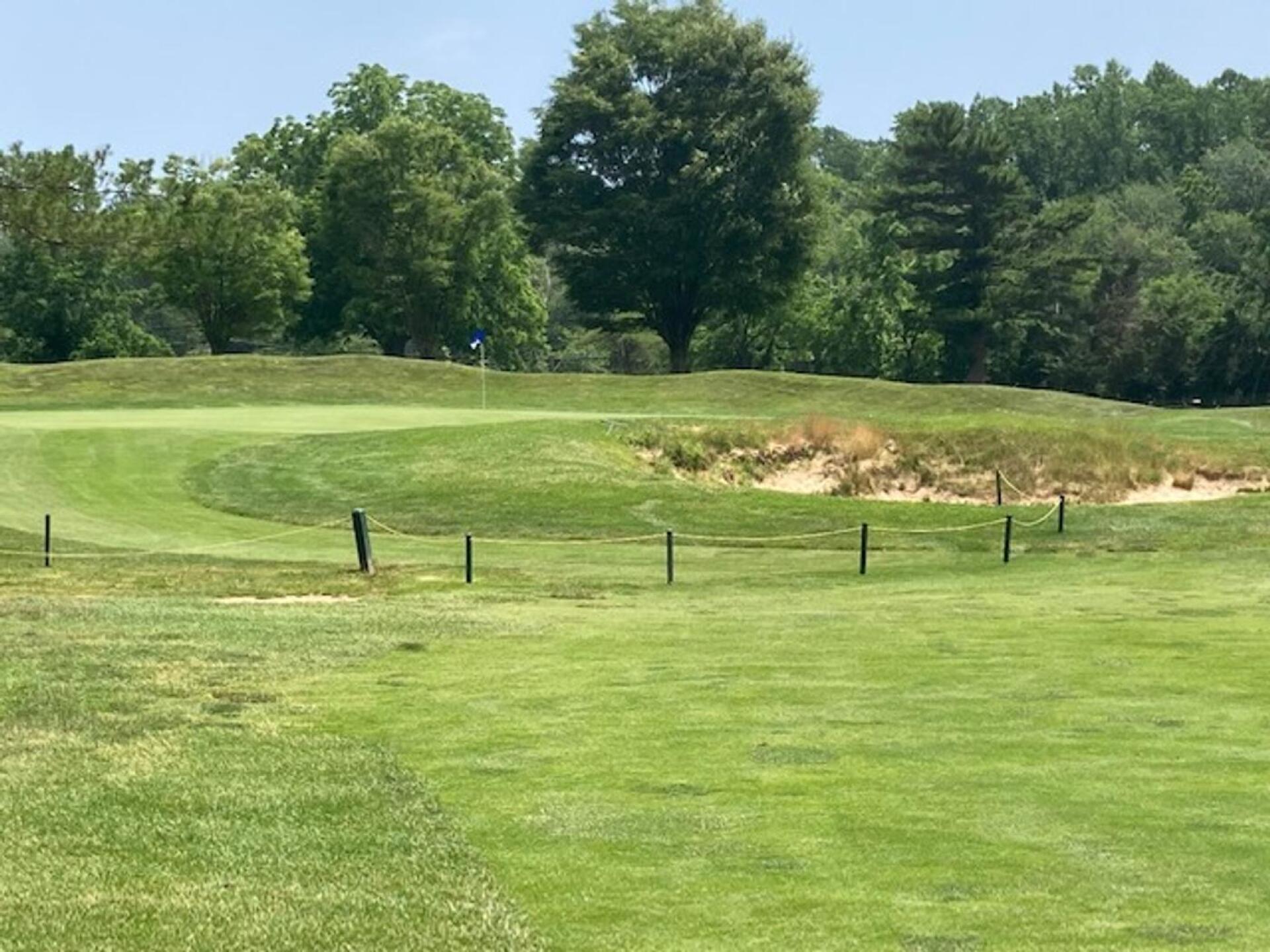 (Photo submitted by LICC on 06/20/2022)