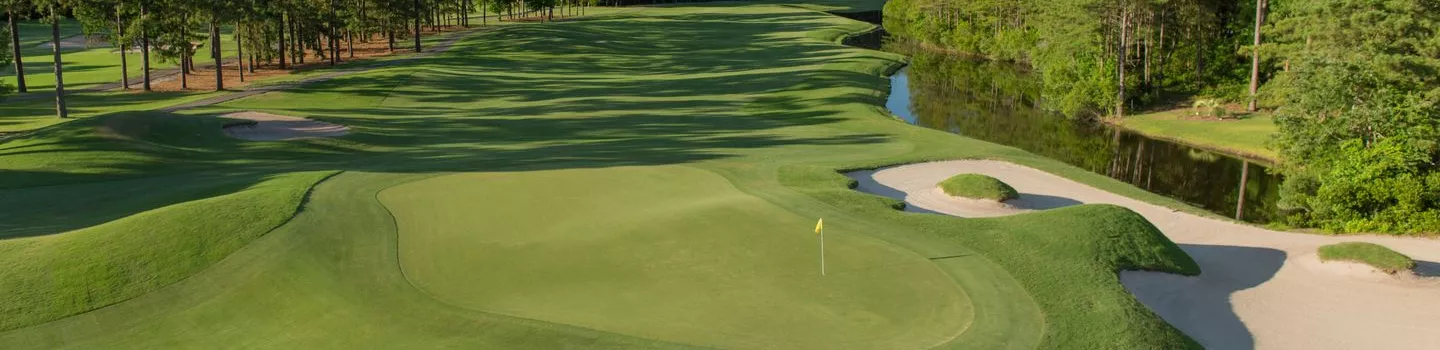 Wild Wing Plantation - Avocet: #18