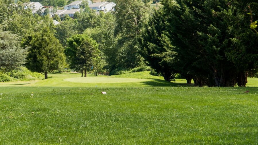 Bear Creek GC
