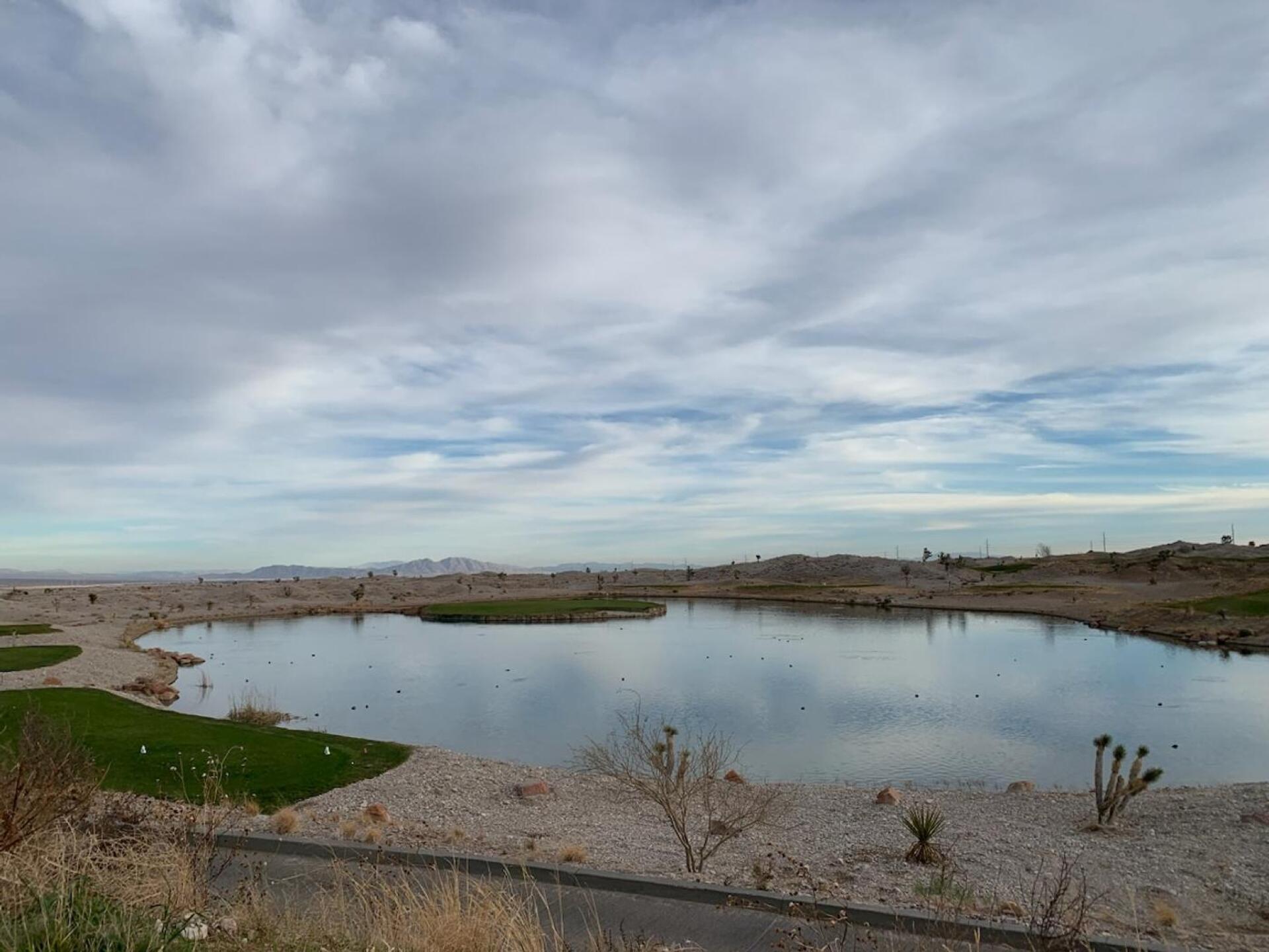 (Photo submitted by u314162770281 on 01/11/2023)