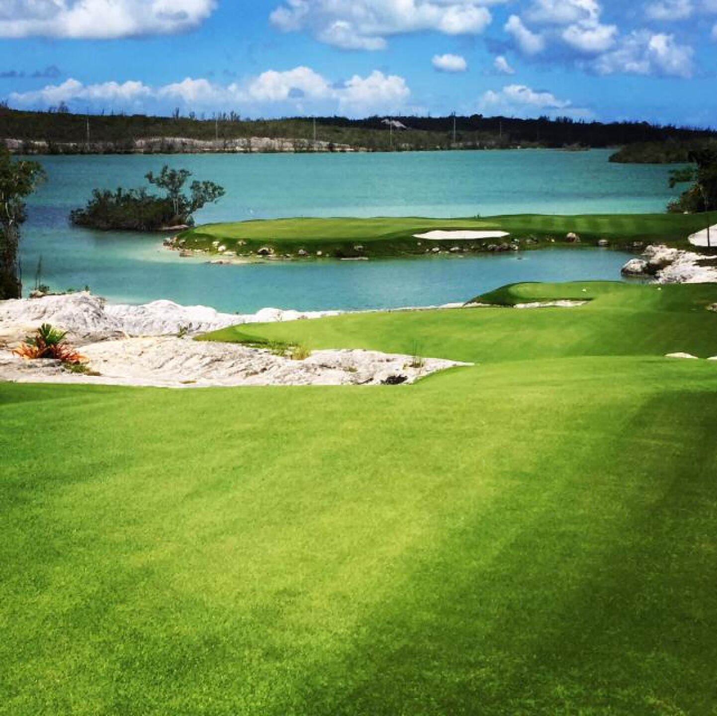 Par-3 16th at Royal Blue. (Nick Menta/Golf Advisor) (Photo submitted by NickMentaGC on 07/08/2017)