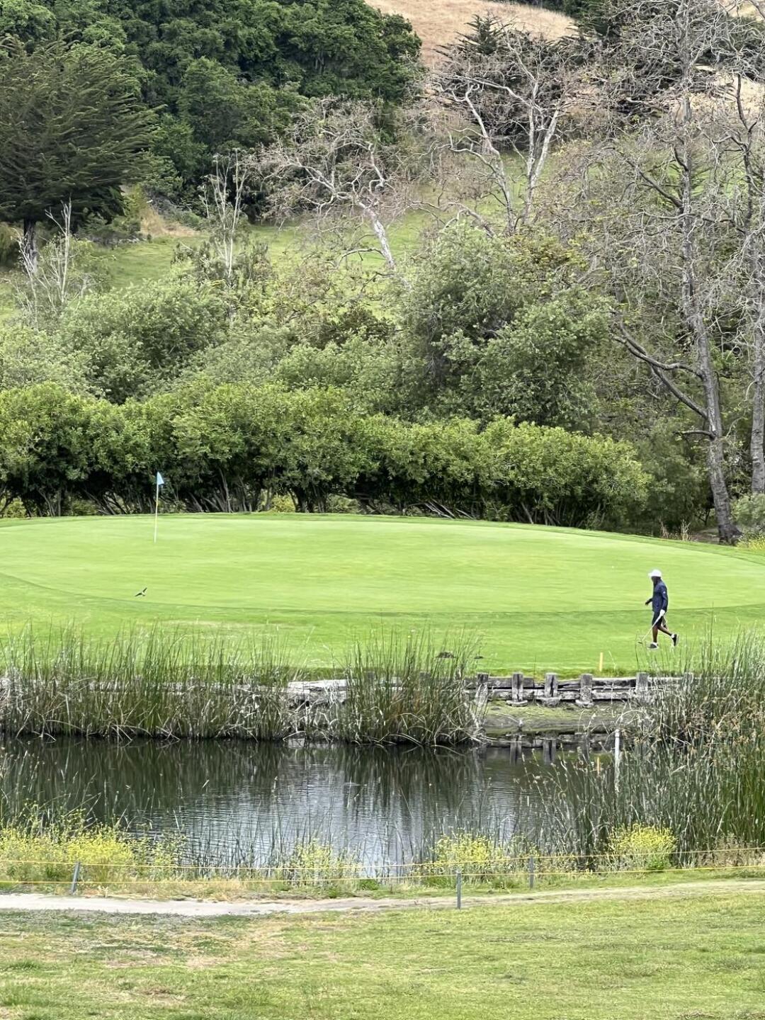 (Photo submitted by u785236244 on 06/18/2023)