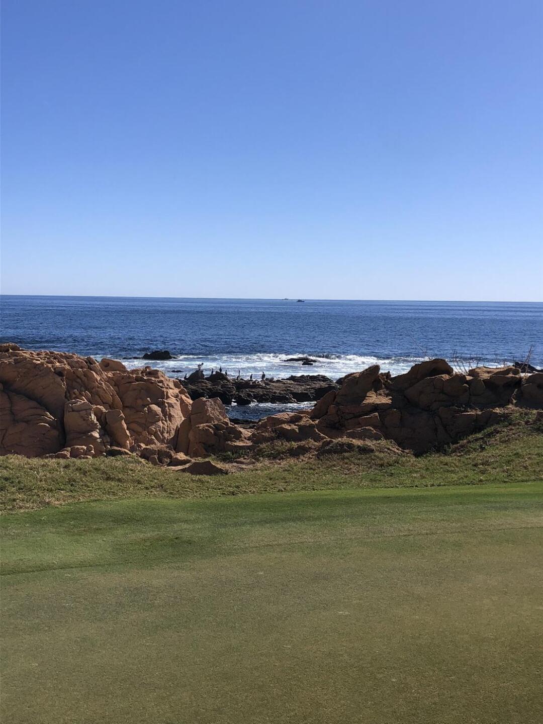 (Photo submitted by dfelgner on 01/31/2021)