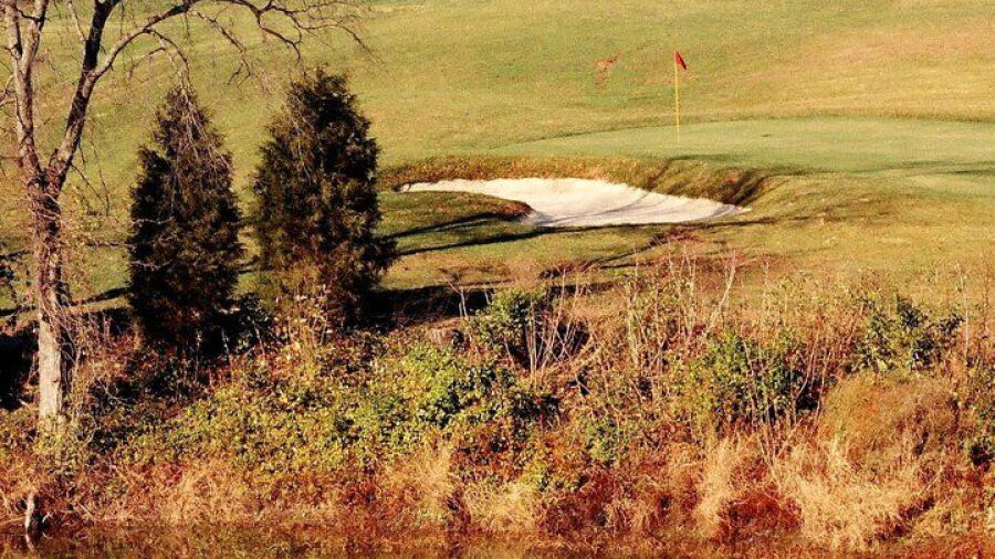 Short at Gibson Bay GC: #4