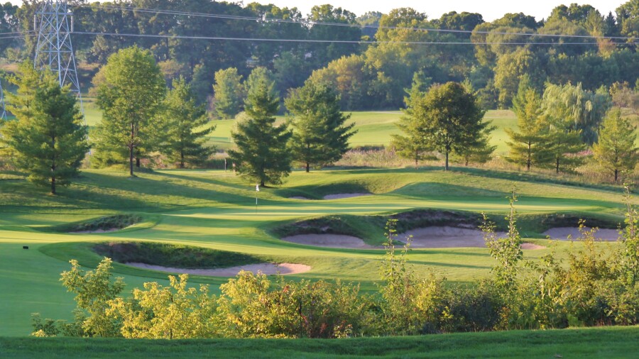 Bull at Pinehurst Farms GC - hole 17