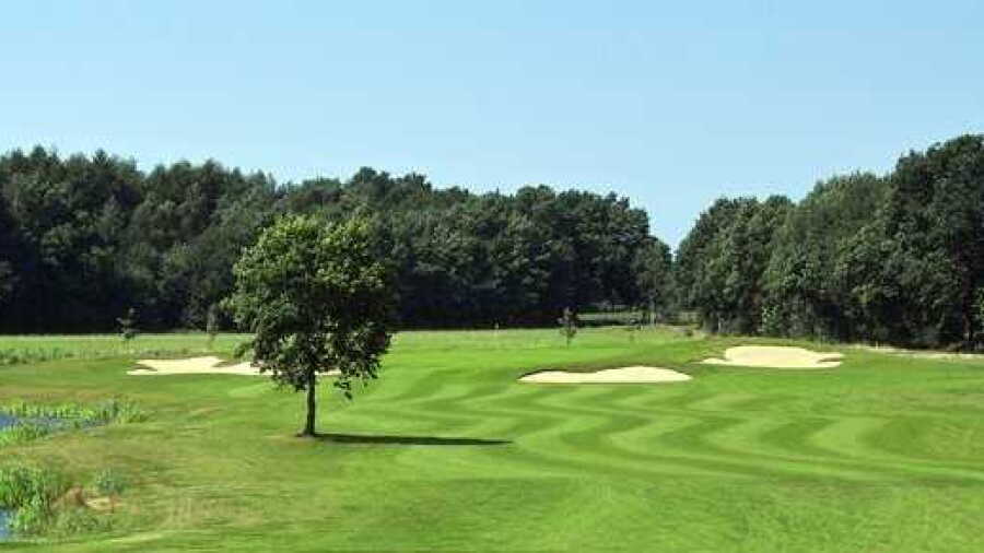Syke GC – C: #9