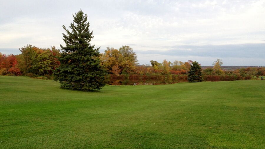 Eden Valley GC