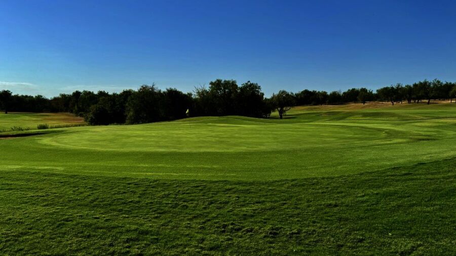 Live Oak GC