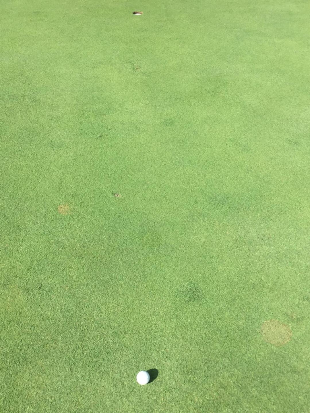 (Photo submitted by u860795086 on 08/10/2019)