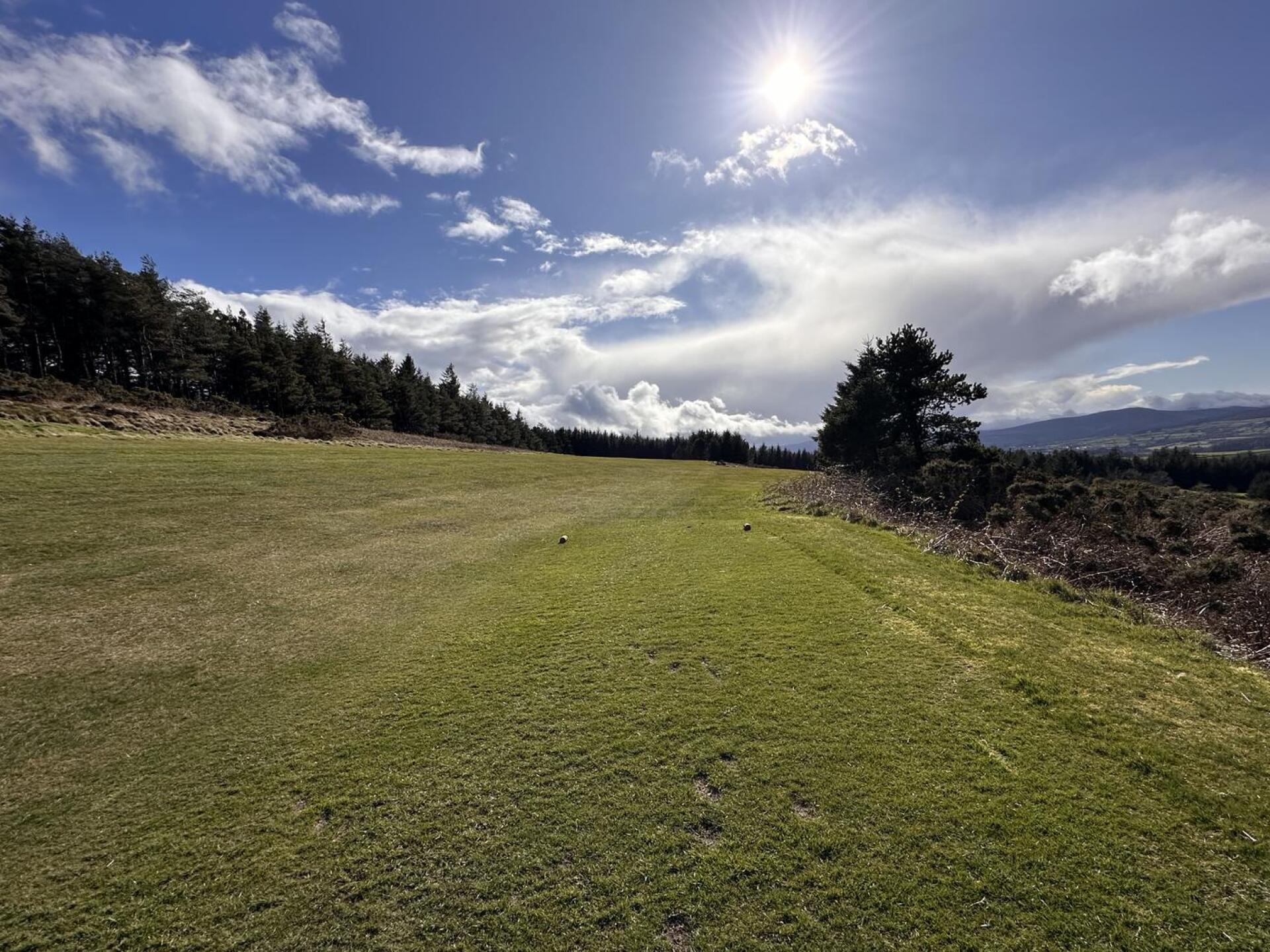 (Photo submitted by u314165746007 on 03/29/2025)