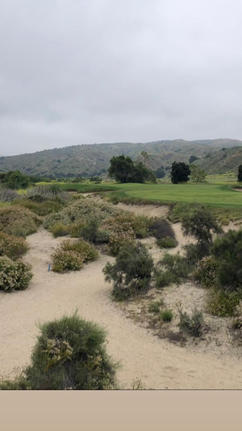 (Photo submitted by BrandonWebb on 06/06/2023)