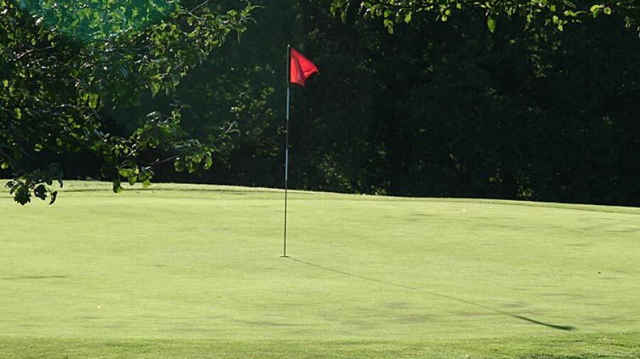 Sinsheim Buchenauerhof GC – 6-hole