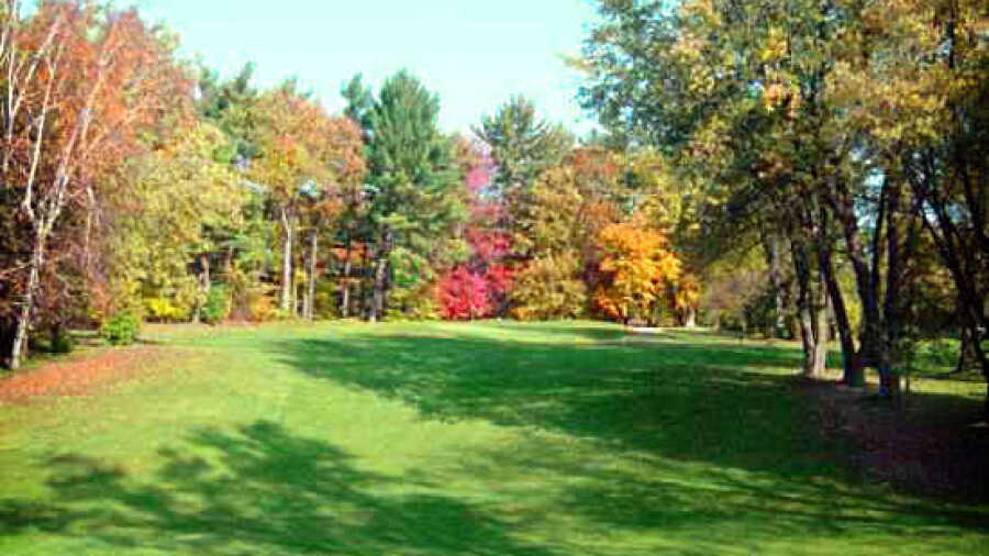Norfolk GCC: #7