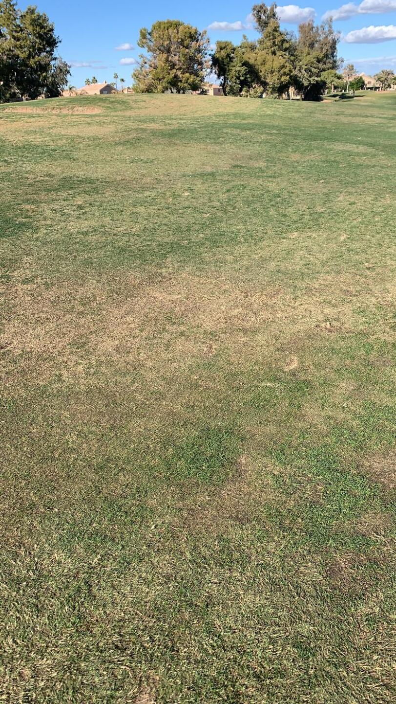 (Photo submitted by xmatt789 on 12/30/2020)