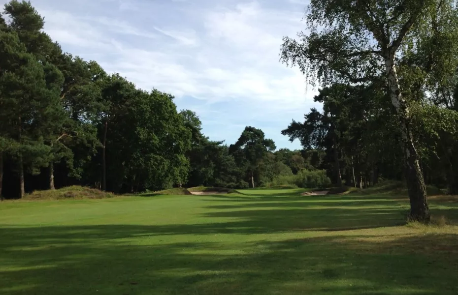 Purdis Heath at Ipswich GC: #9