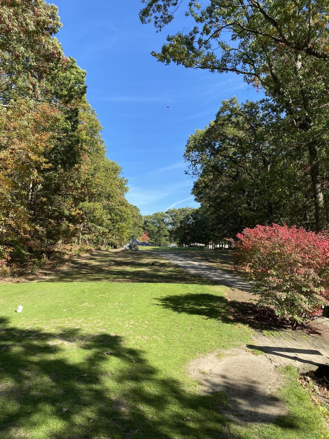 (Photo submitted by zro1ioviDW7Vqx4qLU2N on 10/17/2020)