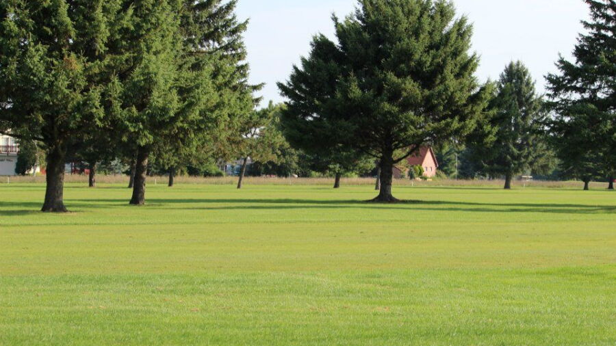 Pine View GC