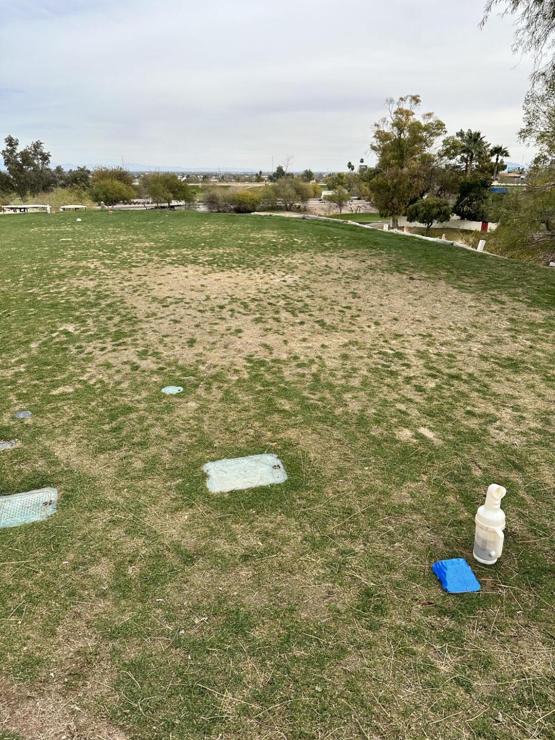 (Photo submitted by eugenehoora on 02/05/2023)