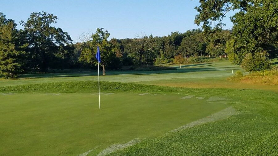 Goodwin GC