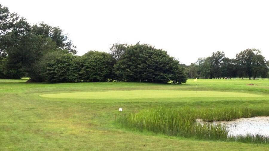 Ferndown Forest GC