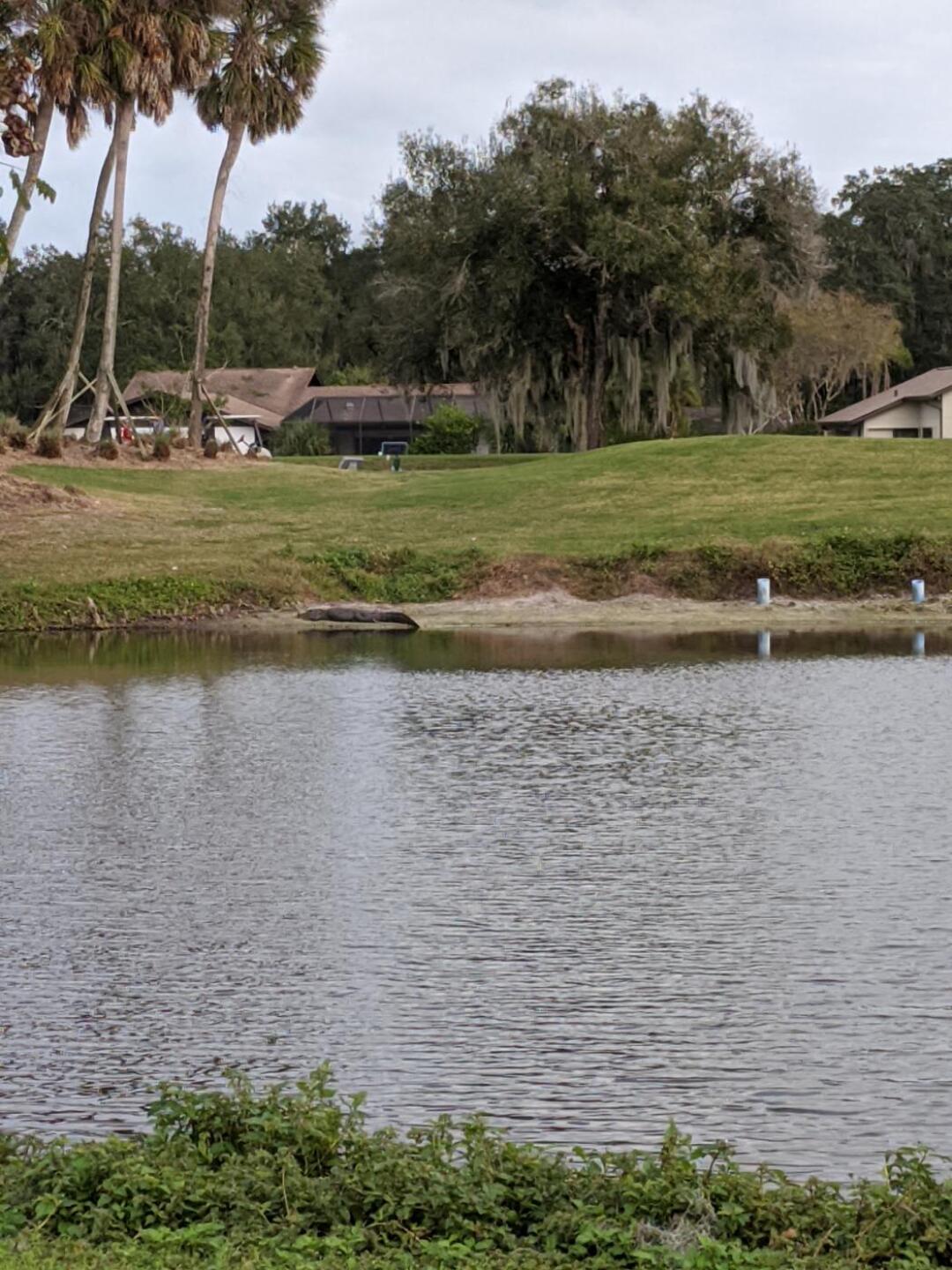 (Photo submitted by u6370999 on 12/26/2019)