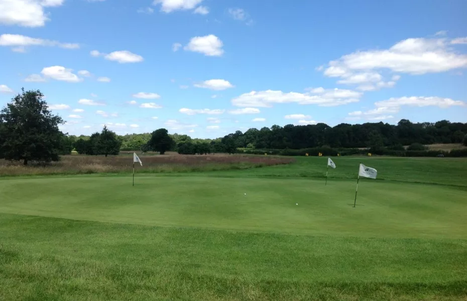 Chipping area at Merrist Wood
