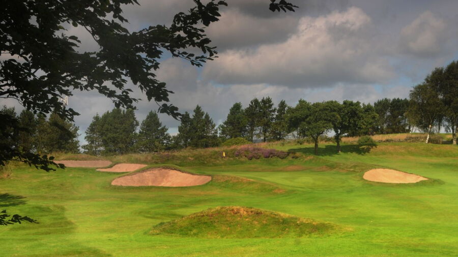 Nelson GC: #14