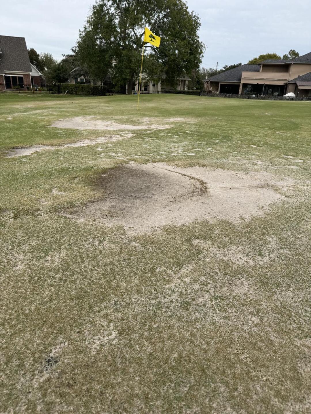 (Photo submitted by jibiabraham on 11/22/2023)