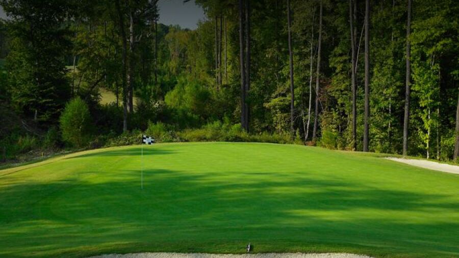 Palisades CC: #6