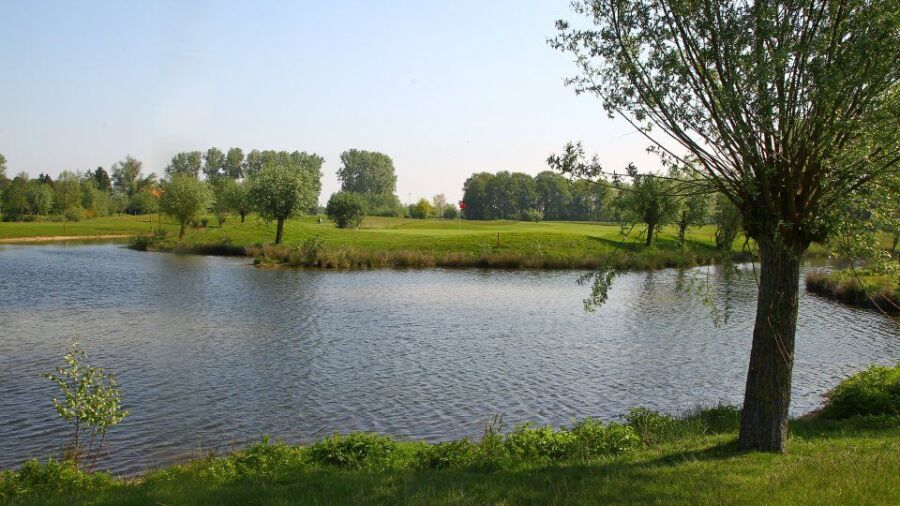 Schloss Moyland GR – Gold: #15