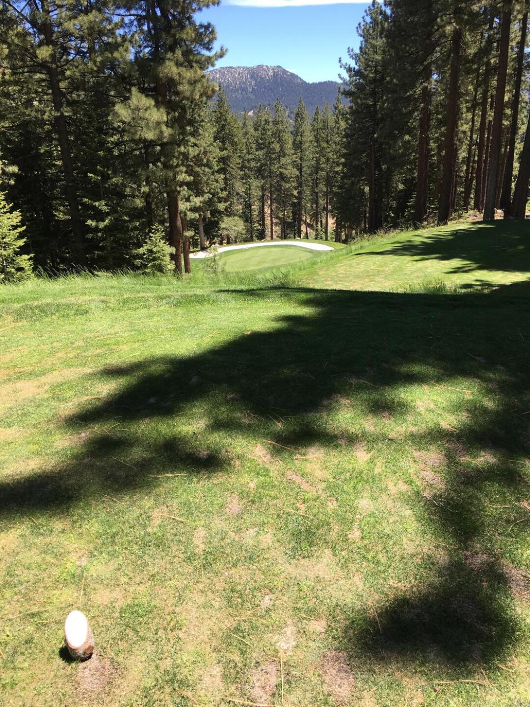 (Photo submitted by Hoytbrej on 06/17/2022)