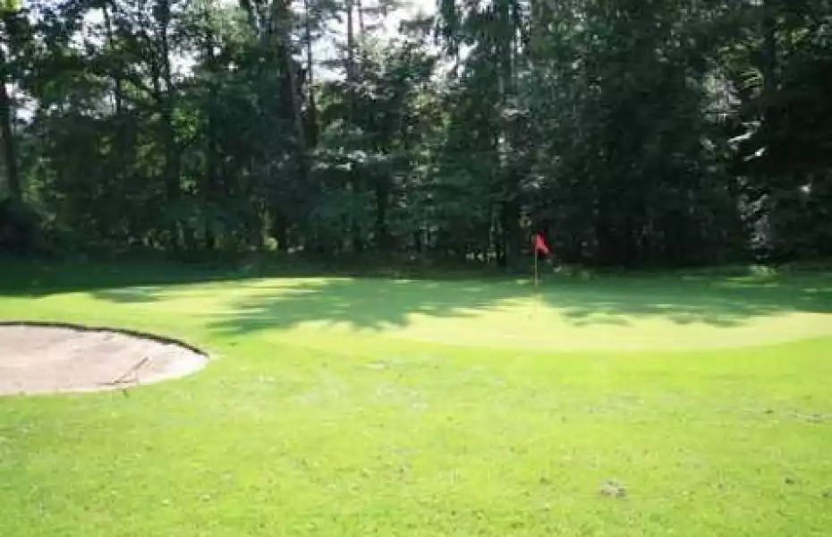 British Army GC Sennelager - Forest Pine: #13