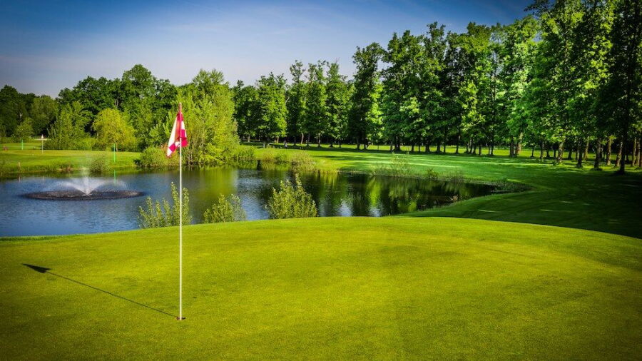 Des Bouleaux GC